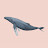 @paran2025