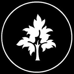 Логотип каналу music of nature