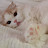 @행복한쭈니-s4b