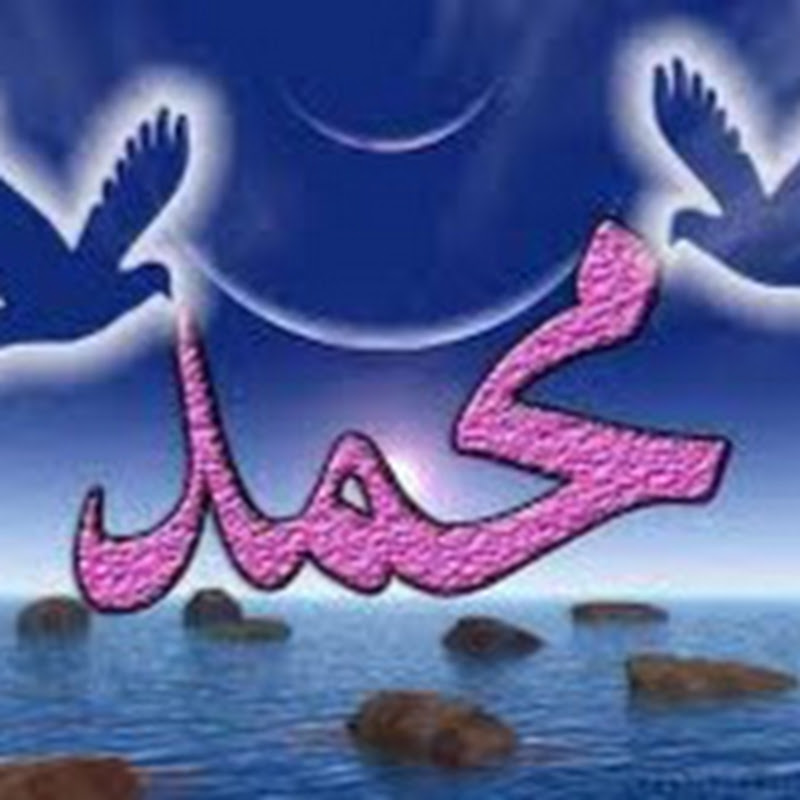 muhammed dabul