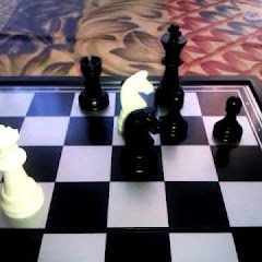 gaja77KUSILJEVAC net worth