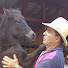 kTL2fVwsMQ4-channel-avatar-Pablo Saldarriaga Doma Racional
