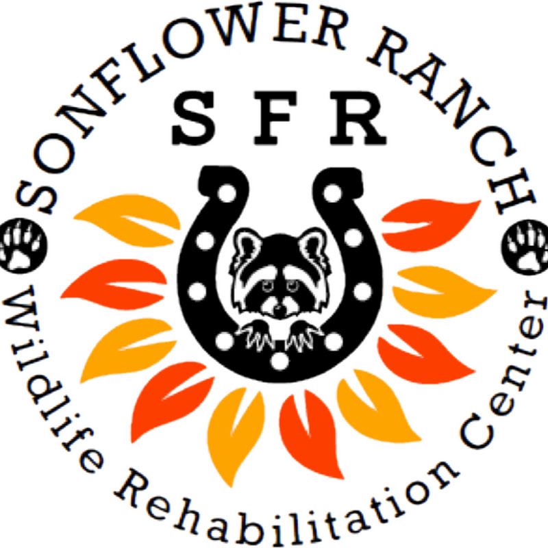 Sonflower Ranch Wildlife Rehabilitation Center profile avatar