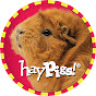 HayPigs! logo