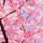 @MyMin-rc5tc