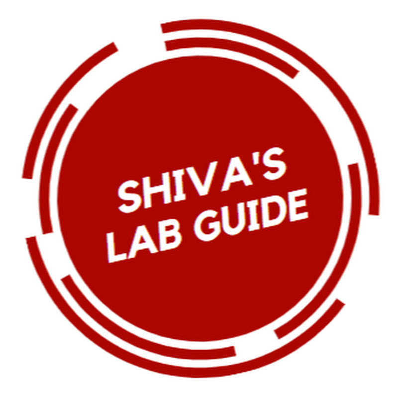 SivakumarNetLabs Logo