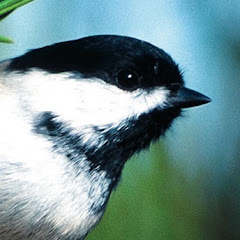 AudubonRI