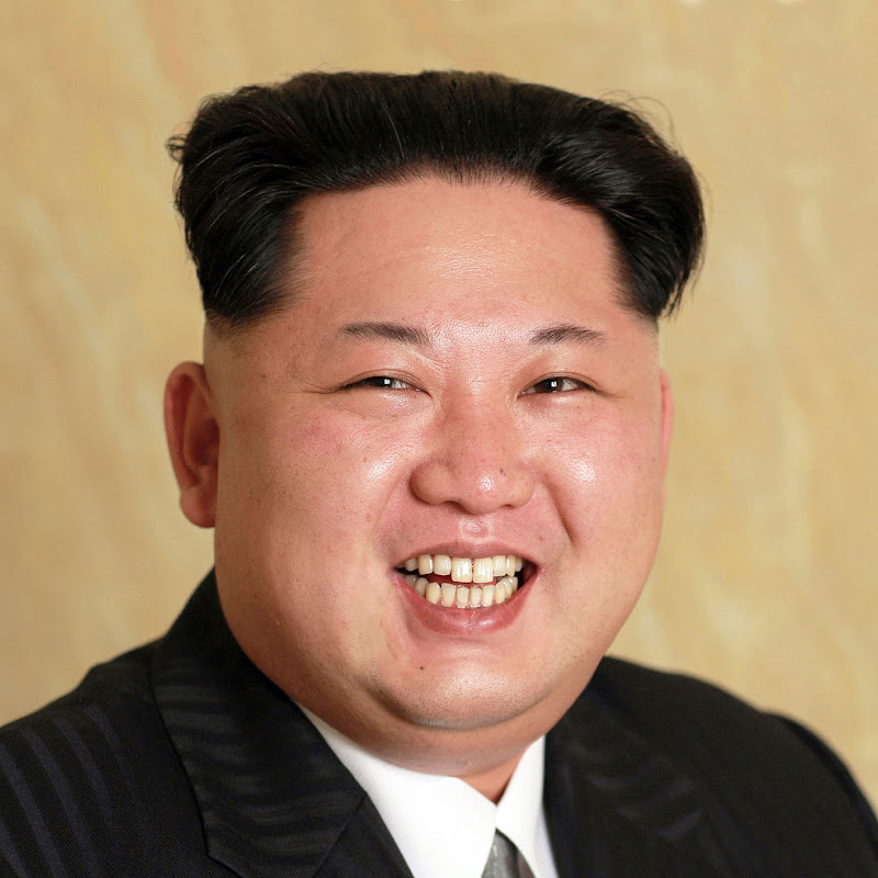 Official Kim jong un