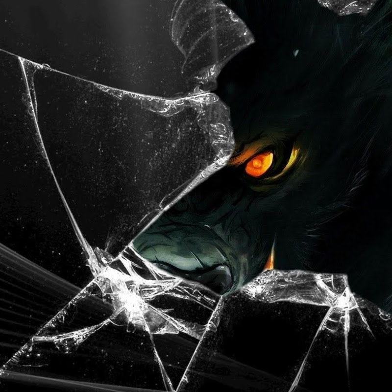 DZK TRIGGERED