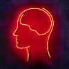 What could SmarterEveryDay buy with $247.8 thousand?