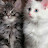 @يومياتهندوهنا