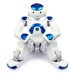 Nao and Cozmo Adventures net worth