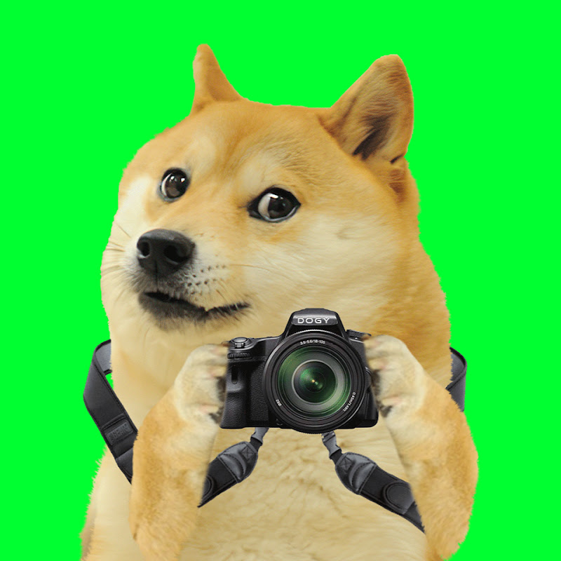 Channel Avatar
