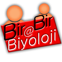 Birebir Biyoloji