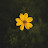 @thalaraja1's avatar