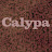 @calypa_music
