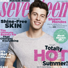 Shawn Mendes Topic