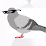 MB3JE3oUhUE-channel-avatar-Obese Homing Pigeon