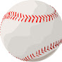 Baseball Solution logo