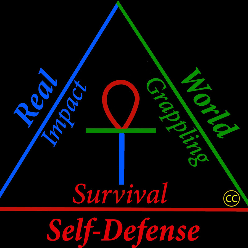 RealWorldSelfDefense icon