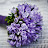@user-xw8qw9dj3x