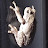 @samraabe2179 Avatar