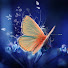 r8b-7Ojlu4U-channel-avatar-Life is Joy