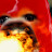 @rawleyhi998 Avatar