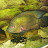 @GRBAquatics Avatar