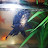 @nathanfishboy3739 Avatar