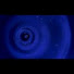 ITXcjNVXEkE-channel-avatar-universalcus