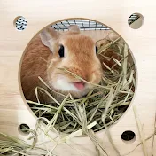 うさファミリー