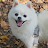 @더조은세상-t8d