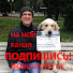 HcABHnHukE4-channel-avatar-Геннадий Курлаев