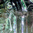 @jakejhakraborchardt4462's avatar