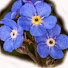 agrD3ys_bK4-channel-avatar-Villamanuelita