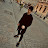 @ELX-ci5tu
