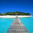 @sadmoonlatynee5835 Avatar