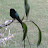 @robertdonald4409 Avatar