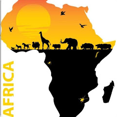 RoarAfrica
