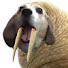 JUvjm6Wpnf4-channel-avatar-MyLittleWalrus