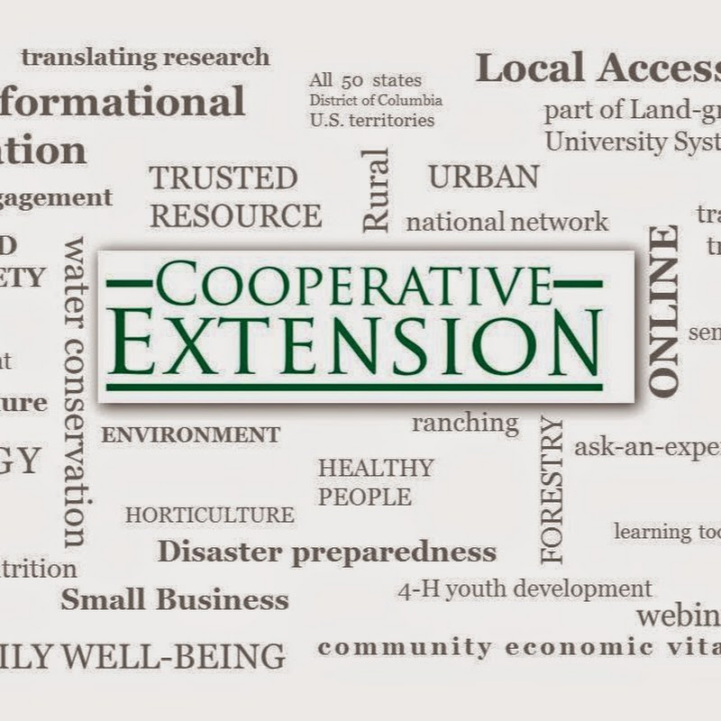 ECOP Office