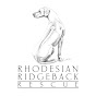 Rhodesian Ridgeback Rescue, Inc. logo