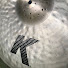 BYbNgQCqVLE-channel-avatar-Matt Wallace Drums