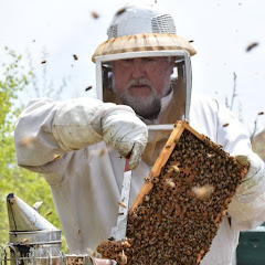 Beekeeping with The Bee Whisperer Avatar