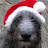 @SantaDeerhound Avatar