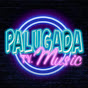 Palu Gada TV channel logo