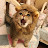 @고래-j1b