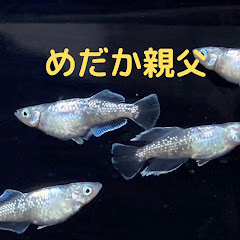 めだか親父アイコン画像