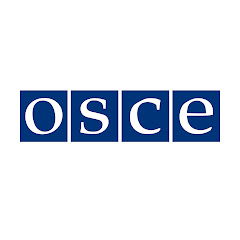 The Organization for Security and Co-operation in Europe (OSCE) net worth